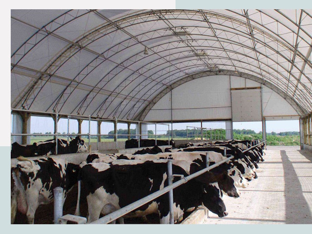 Тентовые коровники в Сургуте